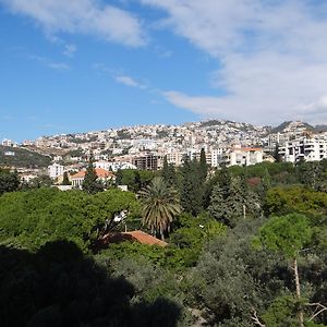 Double Room Mountain View